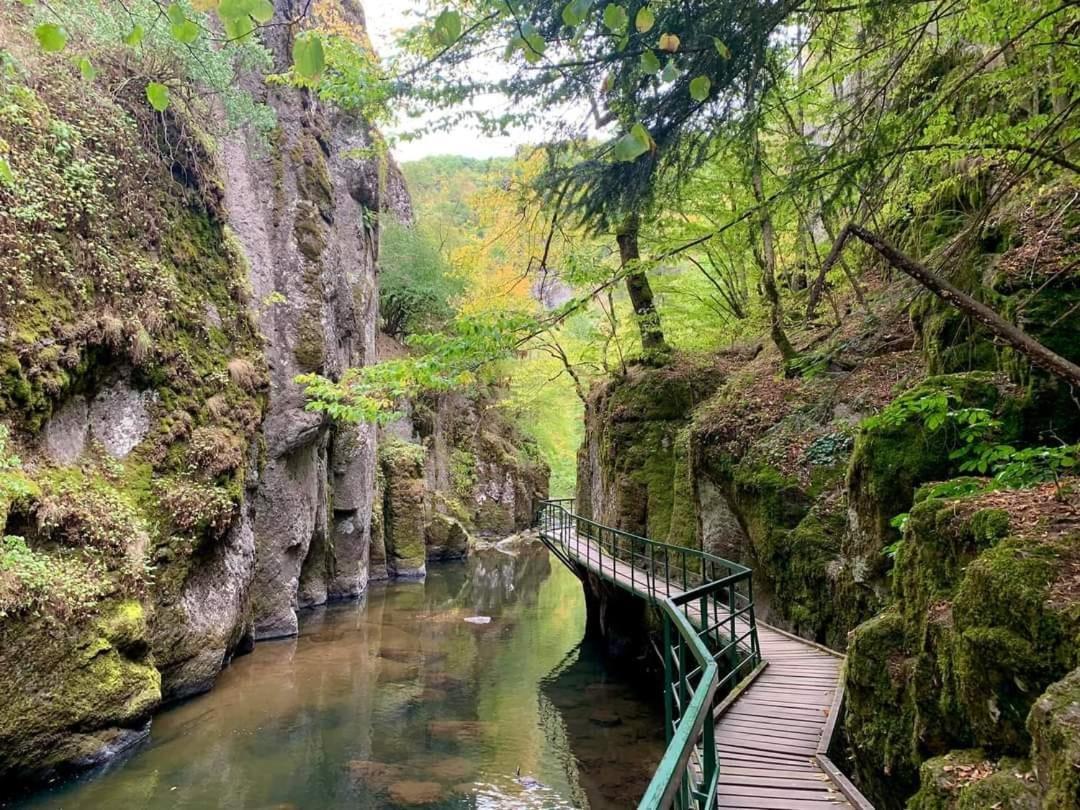 Къща Чолаков И Син - Стаи За Гости Devin Bagian luar foto